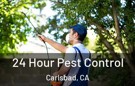  24 Hour Pest Control Carlsbad, CA