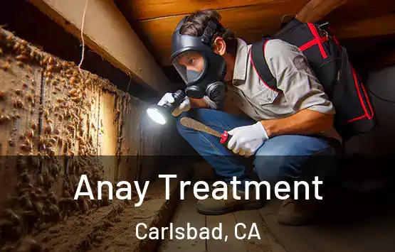  Anay Treatment Carlsbad, CA