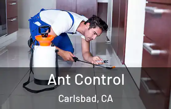  Ant Control Carlsbad, CA