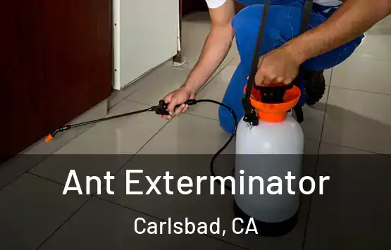  Ant Exterminator Carlsbad, CA