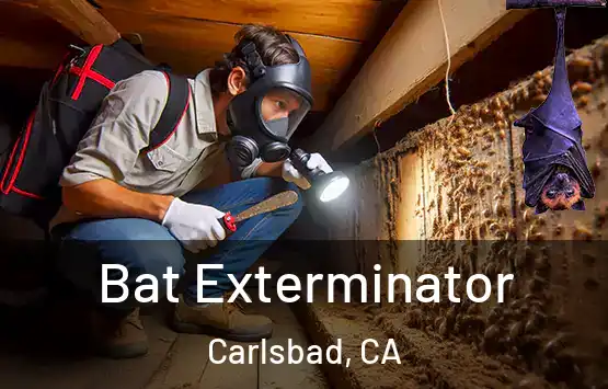 Bat Exterminator Carlsbad, CA