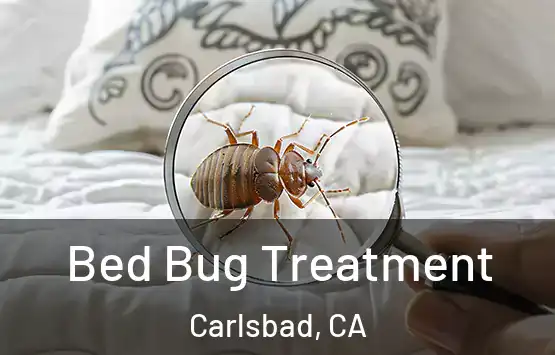  Bed Bug Treatment Carlsbad, CA