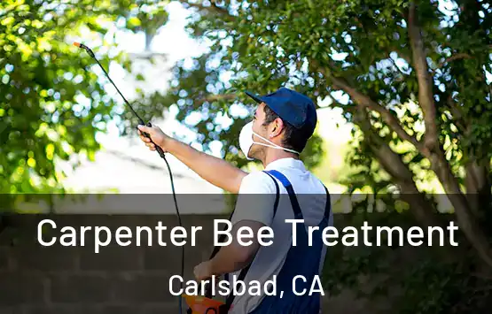  Carpenter Bee Treatment Carlsbad, CA