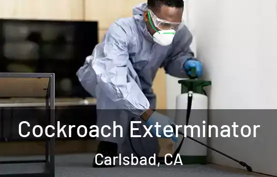  Cockroach Exterminator Carlsbad, CA