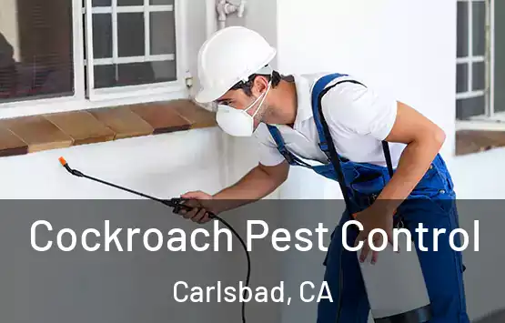  Cockroach Pest Control Carlsbad, CA