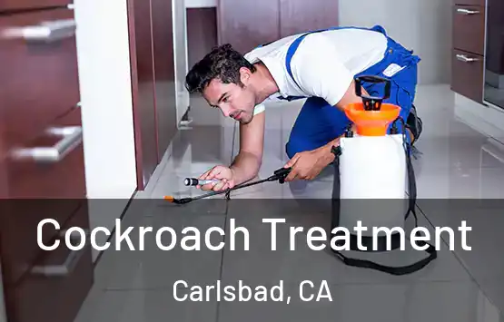  Cockroach Treatment Carlsbad, CA