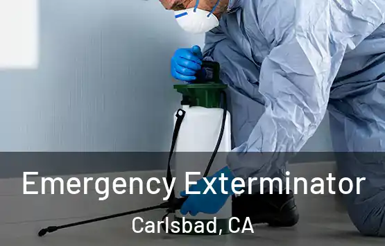  Emergency Exterminator Carlsbad, CA