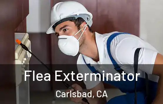  Flea Exterminator Carlsbad, CA