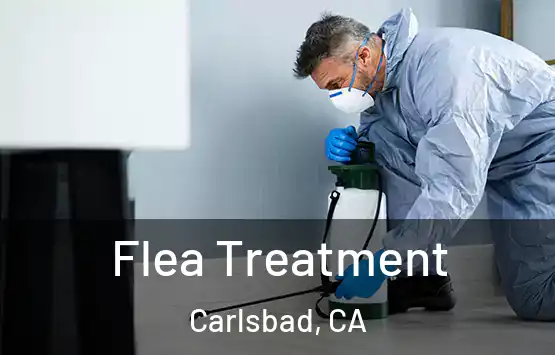  Flea Treatment Carlsbad, CA