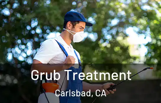  Grub Treatment Carlsbad, CA