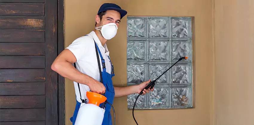 Bee Control for Bedrooms Carlsbad, CA