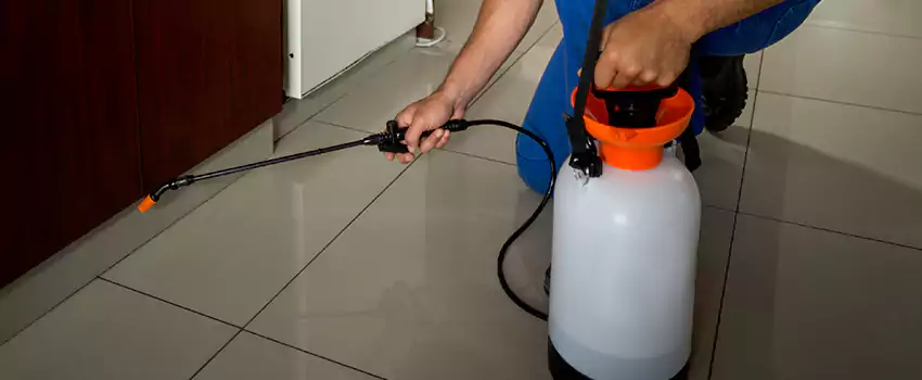 Prevent Future Roach Infestations Carlsbad, CA