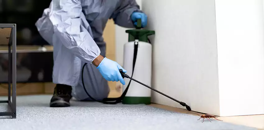 Residential Cockroach Treatment for Bedrooms in Carlsbad, CA