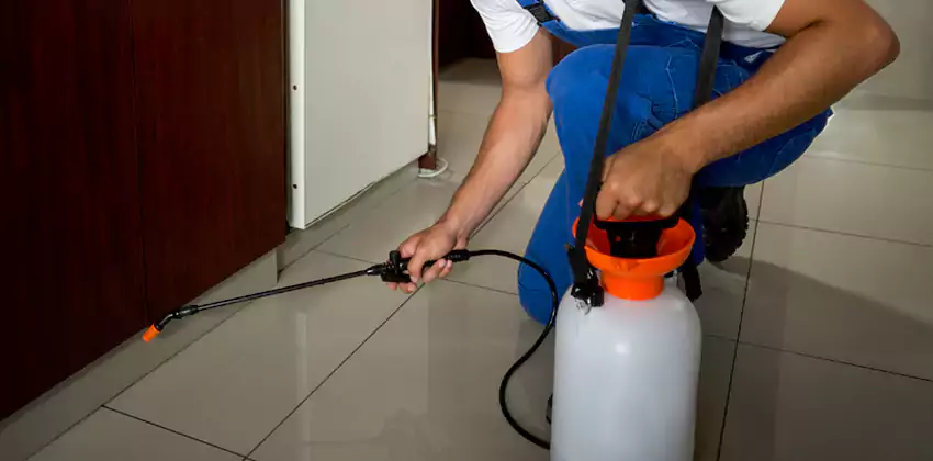 Commercial Flea Exterminator Company in Carlsbad, CA