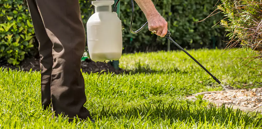 Grub Treatment for Bedrooms Carlsbad, CA