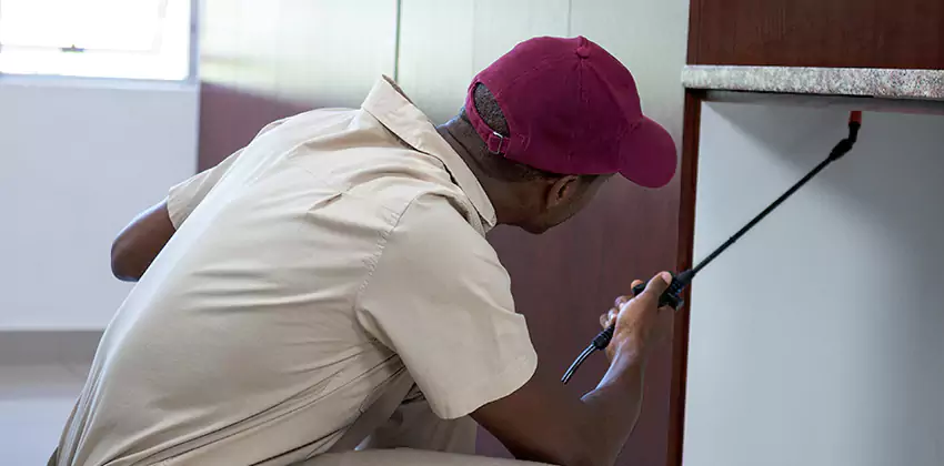 Children and pets extermination of termites Carlsbad, CA