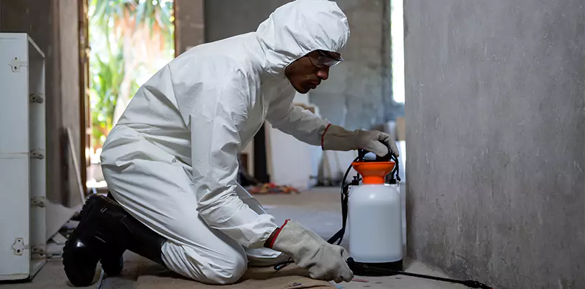 Termite Inspection for Bedrooms Carlsbad, CA