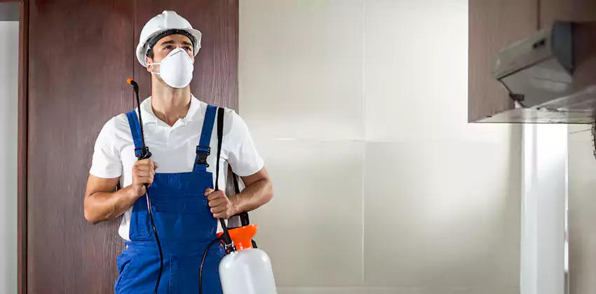 pest-inspection in Carlsbad, CA