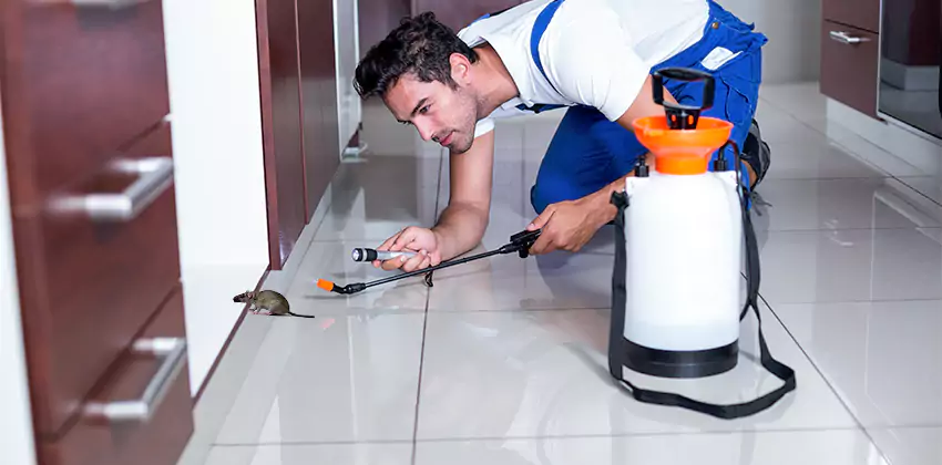 rat-inspection in Carlsbad, CA