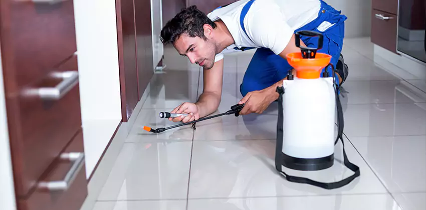 termite-exterminator in Carlsbad, CA