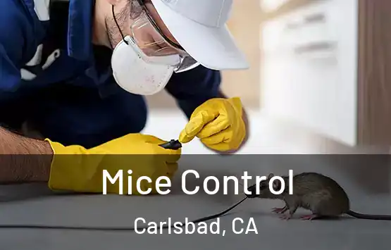  Mice Control Carlsbad, CA