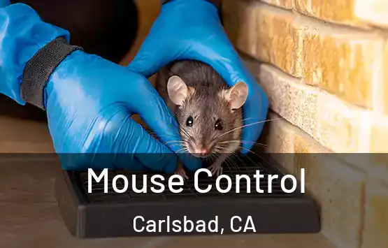  Mouse Control Carlsbad, CA
