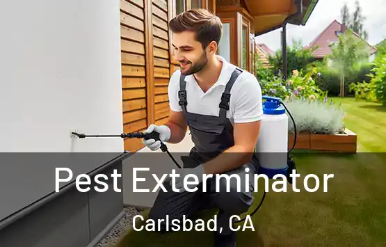  Pest Exterminator Carlsbad, CA