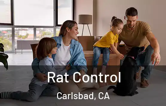  Rat Control Carlsbad, CA