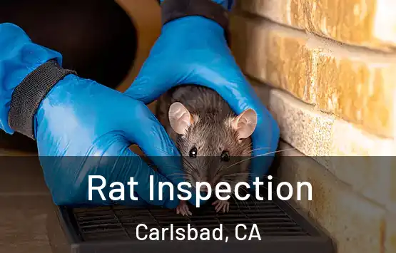  Rat Inspection Carlsbad, CA