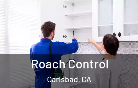  Roach Control Carlsbad, CA