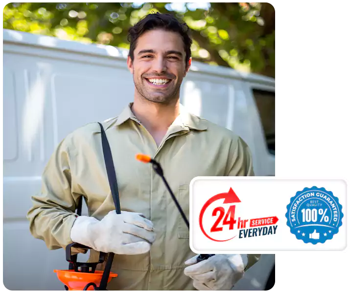 About Ant Exterminator Carlsbad