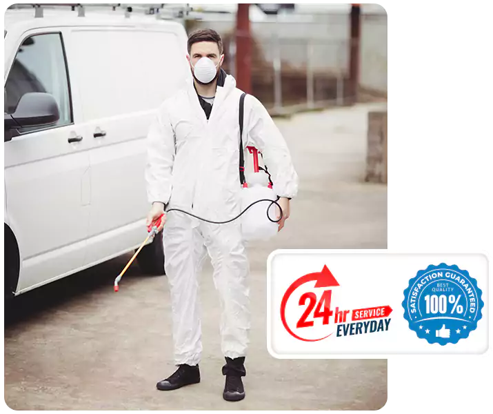 About Carpenter Bee Treatment Carlsbad