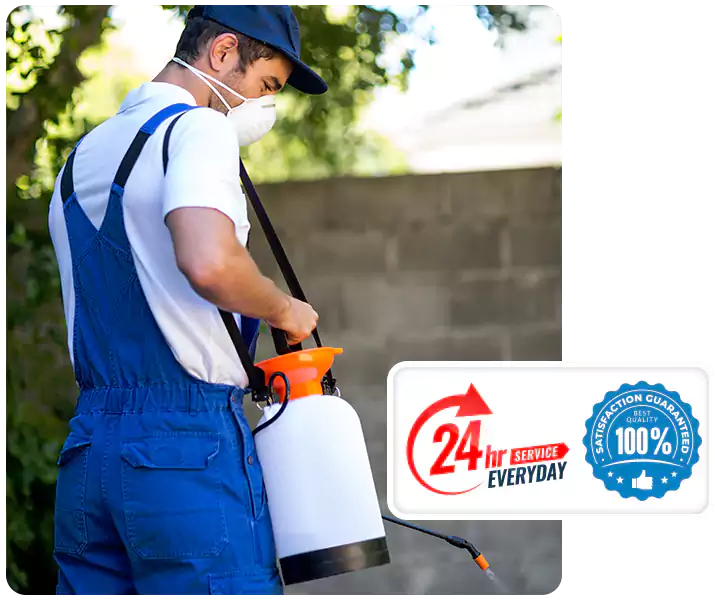 About Pest Exterminator Carlsbad