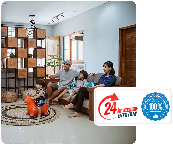 About Spider Pest Control Carlsbad