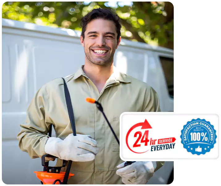 About Termite Exterminator Carlsbad