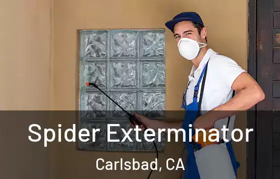  Spider Exterminator Carlsbad, CA