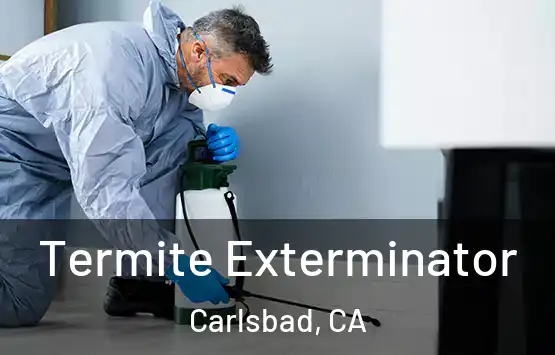  Termite Exterminator Carlsbad, CA