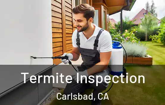  Termite Inspection Carlsbad, CA