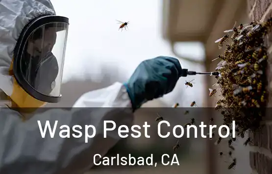  Wasp Pest Control Carlsbad, CA