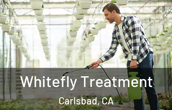  Whitefly Treatment Carlsbad, CA