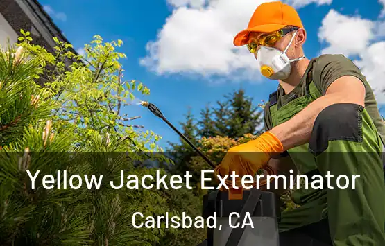  Yellow Jacket Exterminator Carlsbad, CA